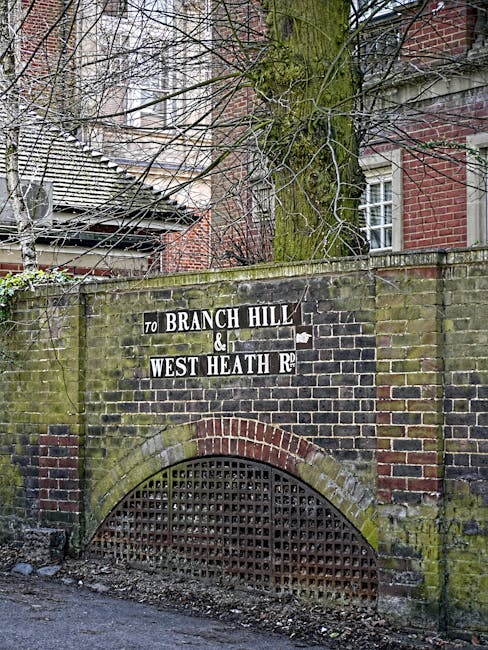 Photo of a weathered brick wall with a black wrought iron grate at the bottom, situated along a street. Above the grate, there is a painted street sign indicating directions to 'Branch Hill' and 'West Heath Road,' with some letters faded or missing. A large tree with moss-covered bark and leafless branches grows behind the wall, extending above it, with parts of nearby residential buildings with brick and tiled roofs visible in the background. The scene is outdoors with natural lighting, and the overall setting suggests a quiet neighbourhood, suitable for a house removal or transport service such as those offered by West Hampstead Man and Van for relocations from Hampstead Heath to Fortune Green.